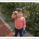 솔밭왓앤와이유치원 이미지