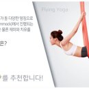 (초급) 생활요가 이미지