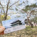여성미한의원 | 24년 04월 월간일기: 벚꽃구경에 미친자 / 샤넬 향수 마스터클래스 / 맥북 언박싱 / 봄날씨 만끽하기