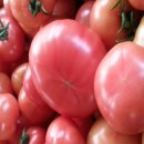 상훈농장 이미지