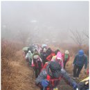 여수라푸마 Daum카페