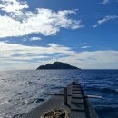 아포 | 두마게티 아포섬 스쿠버다이빙 투어 후기, 대만족!!