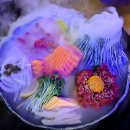 씨유송도자이더스타점 | 송도 6공구 맛집 분위기까지 완벽했던 육회야문연어 송도타임스테이스점 송도 이자카야 추천