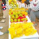 시장 | 루앙프라방 새벽시장 탁발 후기 시간 위치