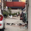 개조아# | 먹구름 사이로 햇살이 들어와