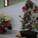 호암체육관 이미지