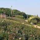 장미원내부 화장실 이미지