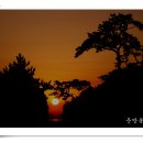 일출체육관 이미지