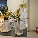 리베리의원화성병점 네이버블로그
