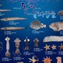 심해수산
