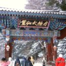 허브목장 이미지