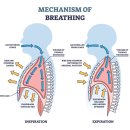 제이에스메디 이미지