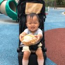 김밥파티 이미지