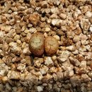 커피내음 이미지