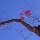 다뽑아가라 이미지