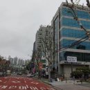 가로수 이미지