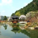 수목원 이미지