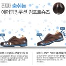 피엔티코리아 이미지