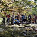 광평농장 이미지