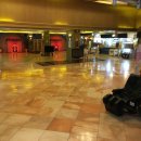 커플 드래곤 이미지