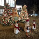 탕정면 삼성로 | 천안 크리스마스 카페 추천 트리카페 아산 구루미 내돈내산 후기