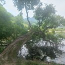 100억부동산중개사무소 이미지