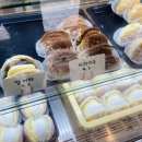 모모스위츠 이미지