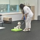 엔젤짐 반려견 아카데미 이미지