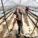 차정농장 이미지