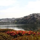 호암미술관 이미지