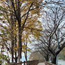 탄금호순환자전거길1 이미지