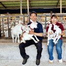 데미샘꿈그린 이미지