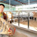 알곡한우농장 | 농협사료 선정, ‘대한민국 대표농가’ 성적비결은,영주 일월농장(대표 황태락)