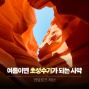 정오의빛 | 미국 그랜드캐니언 여행 투어후기 엔텔로프 캐년 빛내림 시즌✨ (어퍼, 로어 엔텔롭 차이)