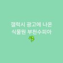 삼산체육관역 | [삼산체육관역]갤럭시 광고에 나온 식물원 부천수피아