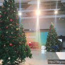 거제시장애인단체총연합회 | [거제 여행] 거제 파노라마 케이블카 &amp; 노자산 등산