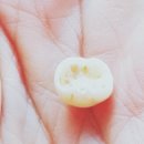 강승우치과의원 이미지