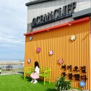 오션클리프(3) | 경주오션뷰풀빌라 오션클리프 감성숙소 후기