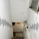 더모먼트 | 혜화 카페 크로플이 맛있는 온더모먼트 솔직후기