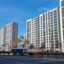 초롱꽃마을3단지 정류장 이미지