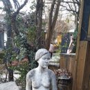 경인약국 이미지