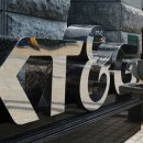 대신인삼