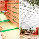 정산농장 이미지