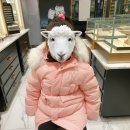 로이드 천호점 이미지