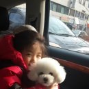 트리밍807 이미지