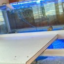 용천로 87번길 | 구월동맛집 찾는 분들을 위한, 상록회관 연탄구이 구월점 솔직 방문기