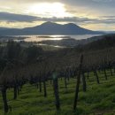 선구목장 이미지