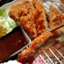 큰물참치