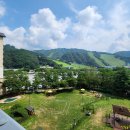 펫 클럽 이미지