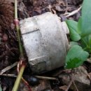 읍내리농로 이미지